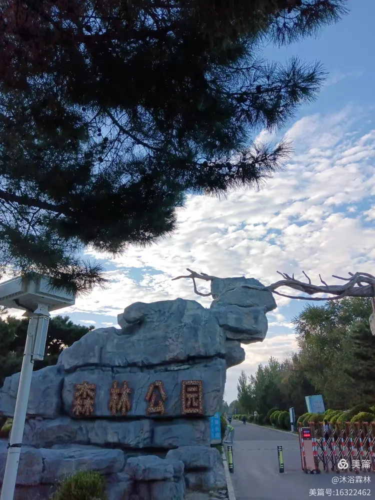 2014通辽市森林公园美景